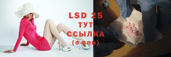ECSTASY Алзамай