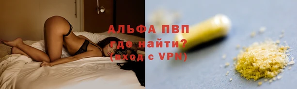 ECSTASY Алзамай