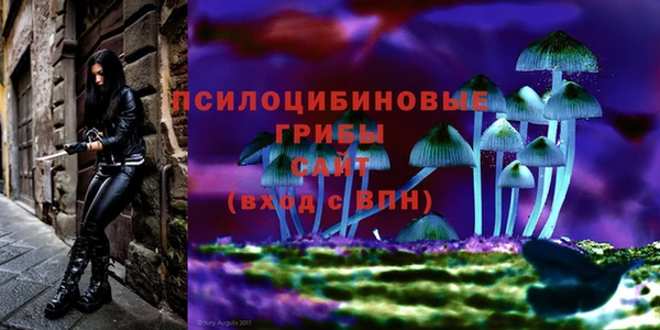 стафф Алексин