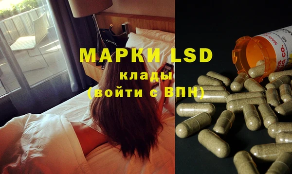 ECSTASY Алзамай