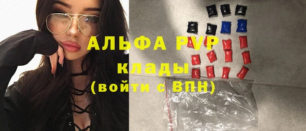 стафф Алексин