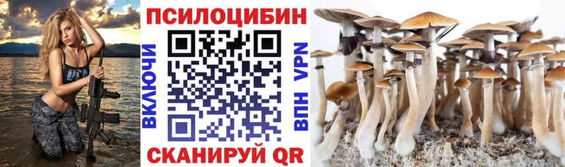 дарнет шоп Николаевск Галлюциногенные грибы Cubensis