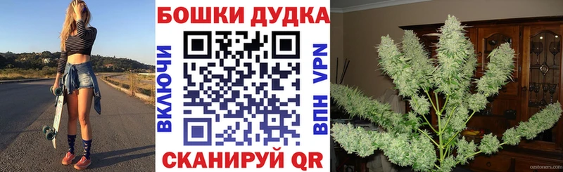 МАРИХУАНА семена  как найти закладки  Николаевск 